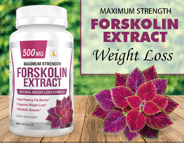 FORSKOLIN EXTRACT